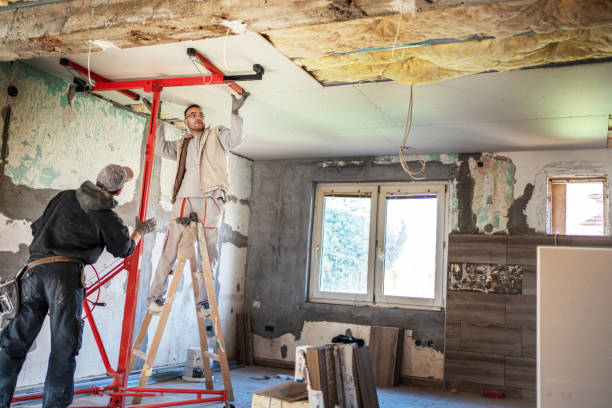 Best Residential Insulation in Clover, SC